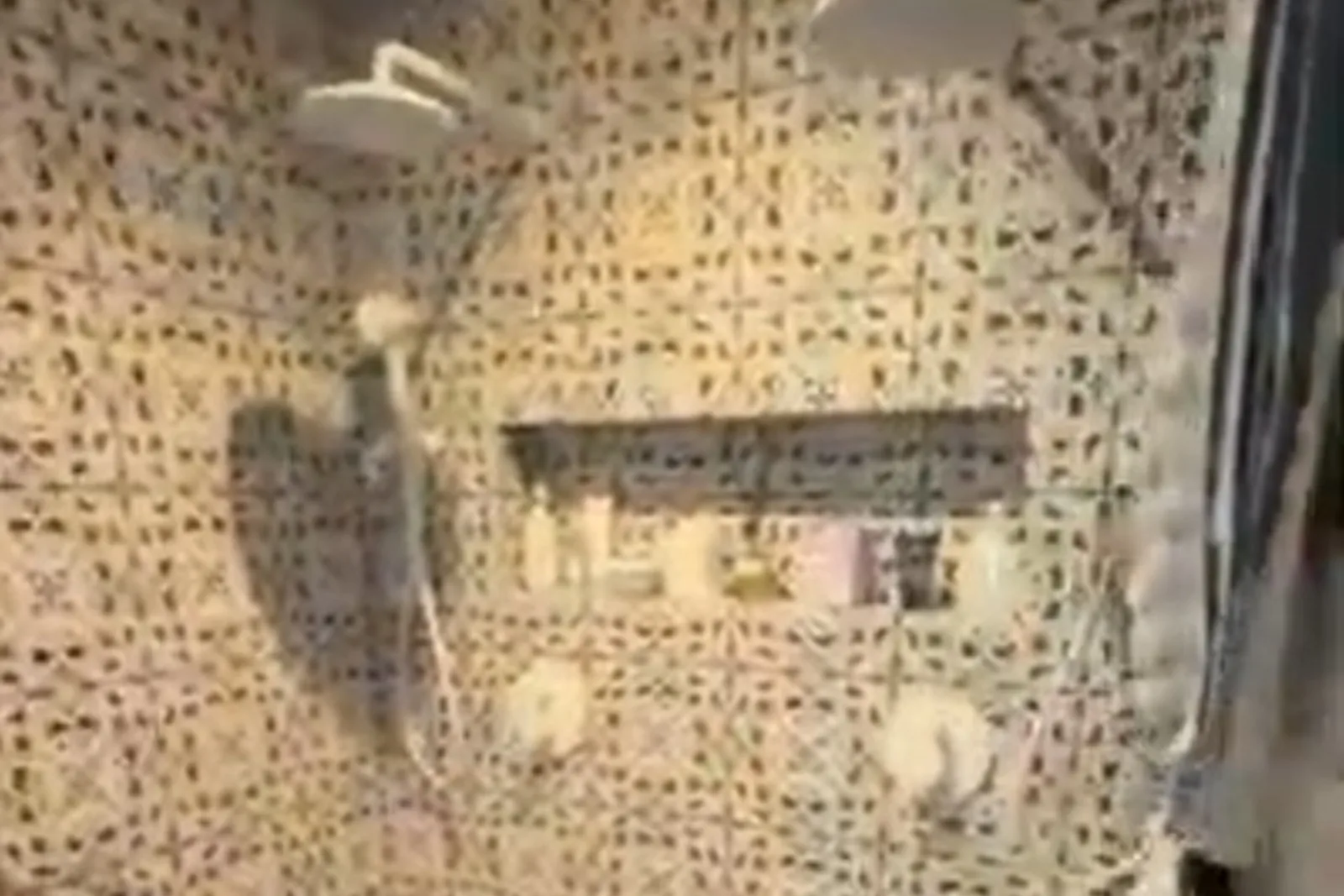 Glaze Soft — patterned walk-in shower with matte white fixtures