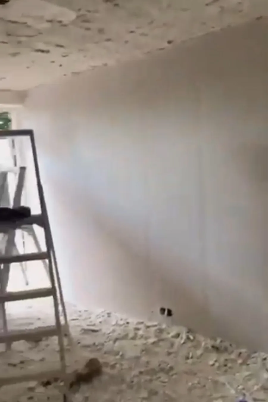 Shell Soft — plaster shell and corridor during strip-out